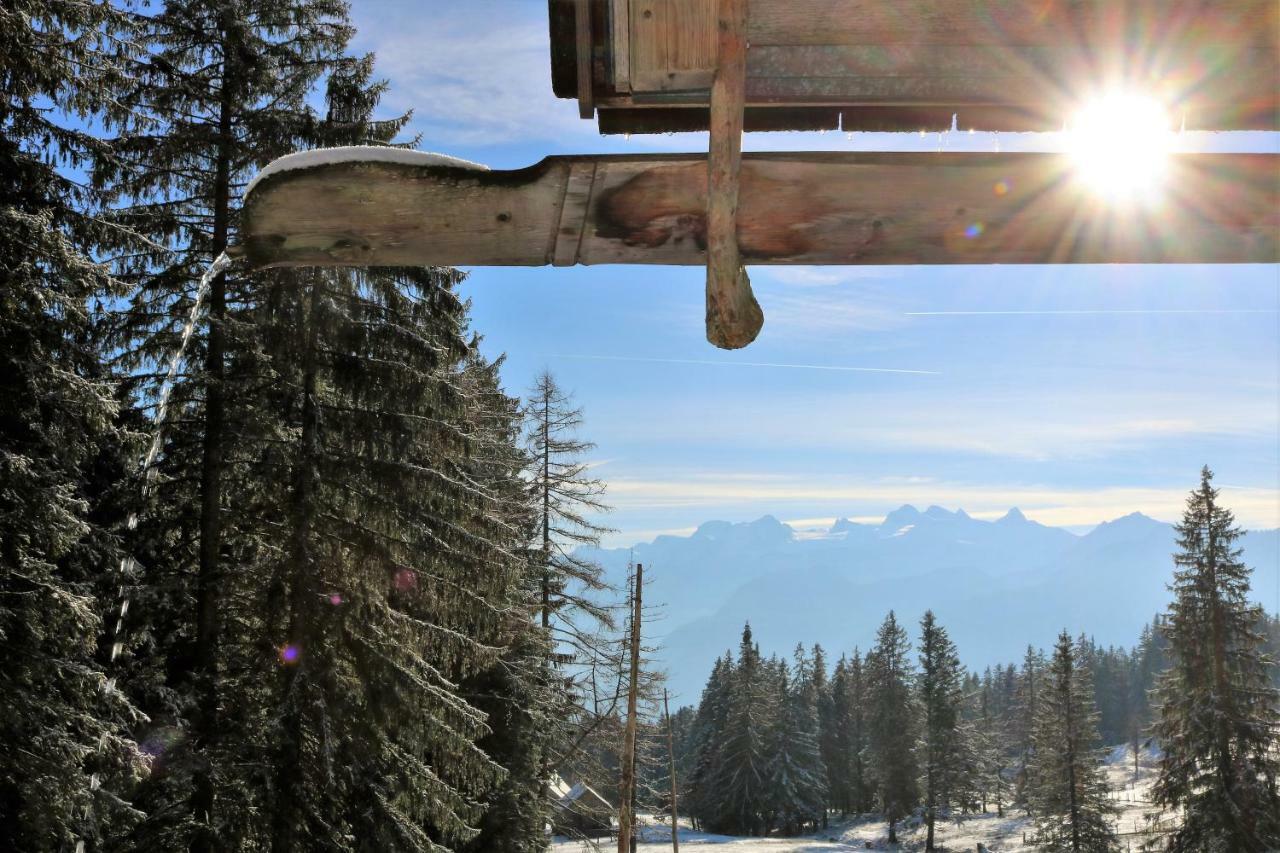 Ferienwohnungen Arikogel Bad Goisern Exterior photo